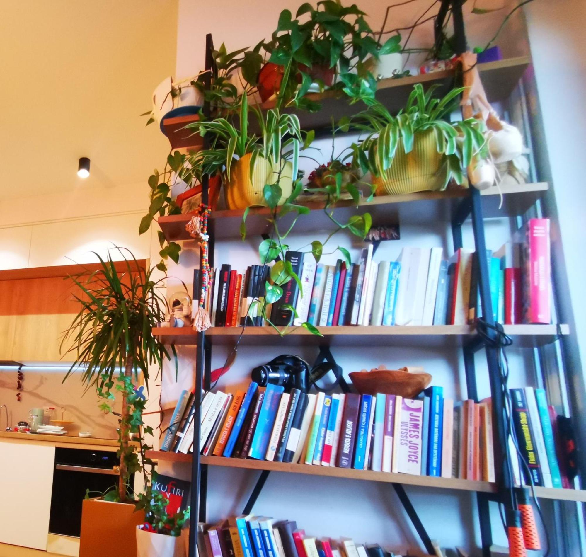 Lucky Place Apartament
